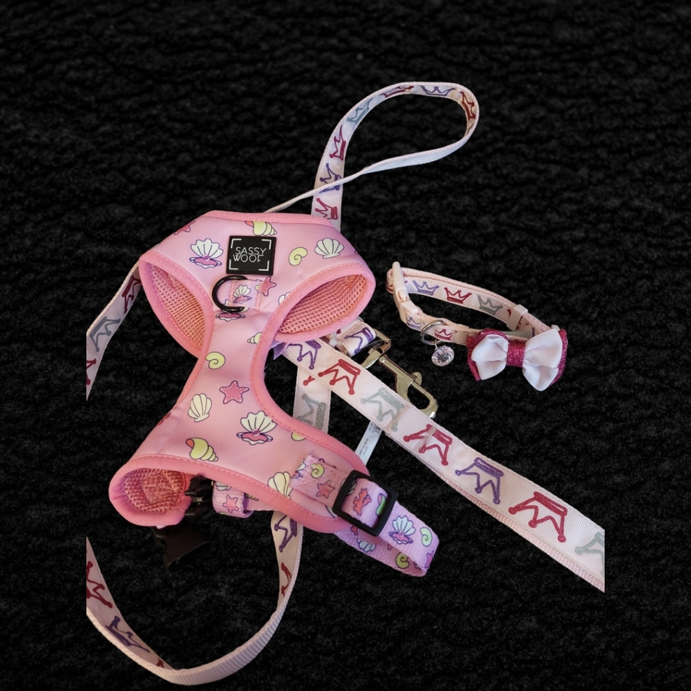 Dog Walker Bundle